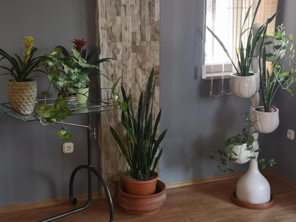 Hotello Apartmanhaz Es Panzio زالاجيرسيج المظهر الخارجي الصورة